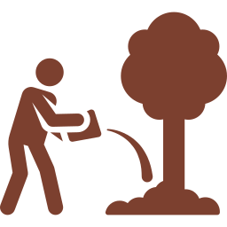 Well Planned Plantation Work